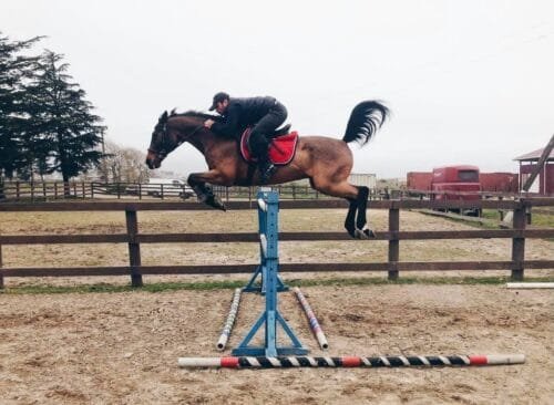 השכרת רכב Batumi Airport (Batumi Horse Club:)