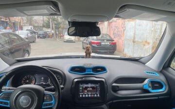 Réserver Jeep Renegade 